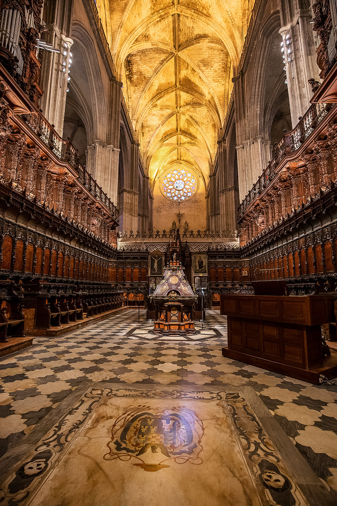 48437554051_8d33bed1a0_b